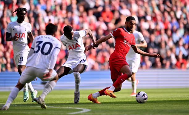 全新的商业 全新的商业