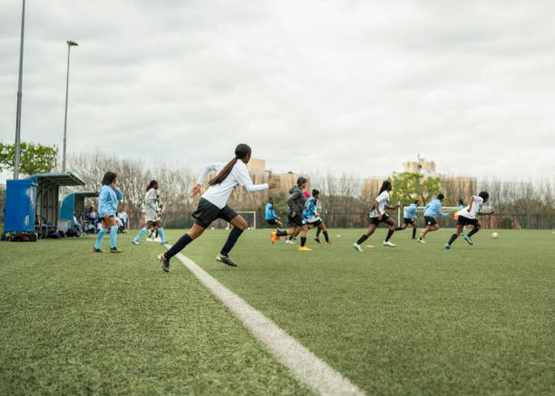 遇大熊猫 遇大熊猫